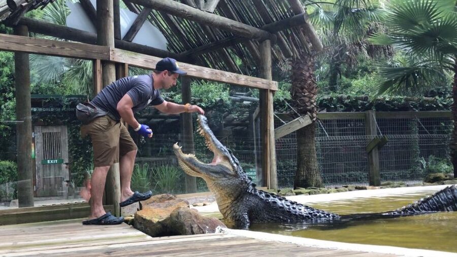 Orlando: Everglades Airboat Ride and Wildlife Park Ticket - The wildlife park adds real value