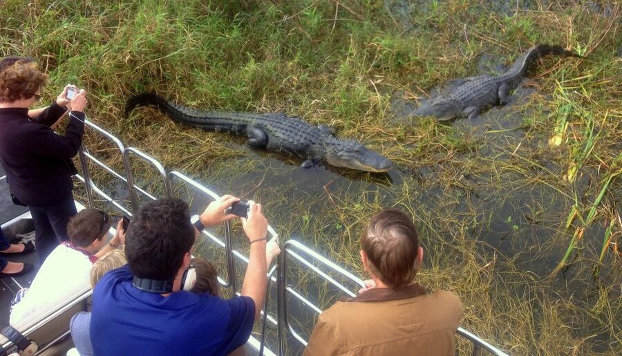 Orlando: Everglades Airboat Ride and Wildlife Park Ticket - Price, timing, and practical value