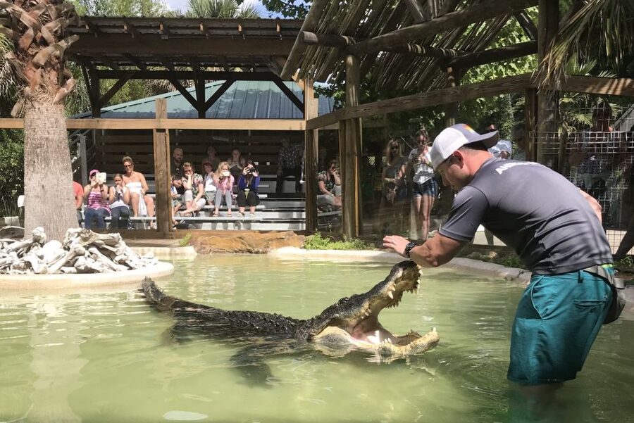 Orlando: Everglades Airboat Ride and Wildlife Park Ticket - Who will enjoy this most