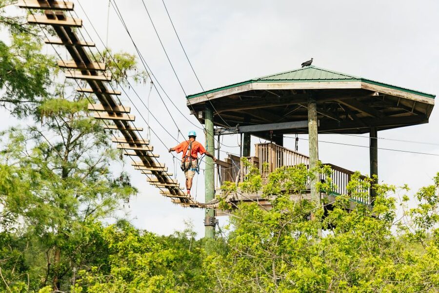 Orlando: Gatorland Skip-the-Line Ticket - Legends of the Swamp explains how gators survive