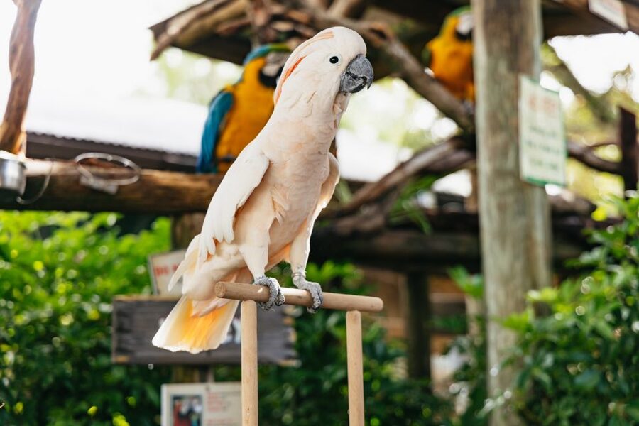 Orlando: Gatorland Skip-the-Line Ticket - Food, drinks, and the real cost of the day