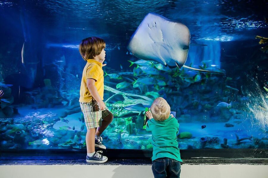 Orlando: Madame Tussauds and SEA LIFE Aquarium Combo Ticket - Two Orlando attractions, one easy pairing