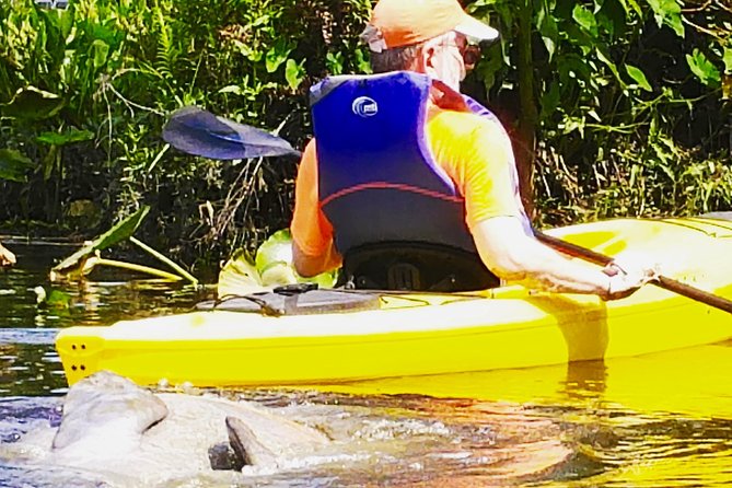 Orlando Manatee Encounters - Starting at the Orange City boat ramp