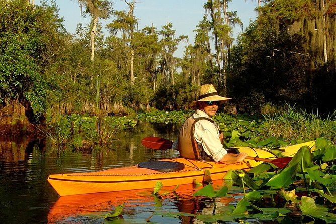 Orlando Manatee Encounters - Sun, water, and what to pack