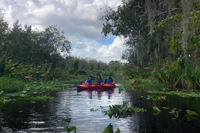 Orlando Manatee Encounters - Watching manatees without chasing them