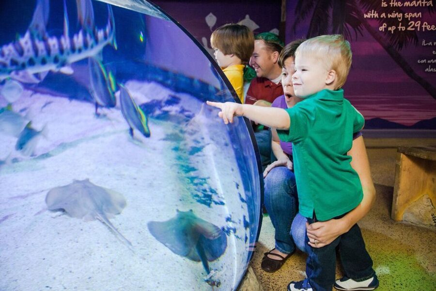 Orlando: SEA LIFE Orlando Aquarium - Seeing How Aquarists Care for the Animals