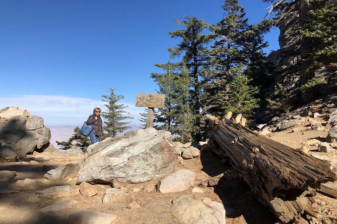 Palm Springs Aerial Tramway Admission Ticket - From Sonoran Desert to San Jacinto forest
