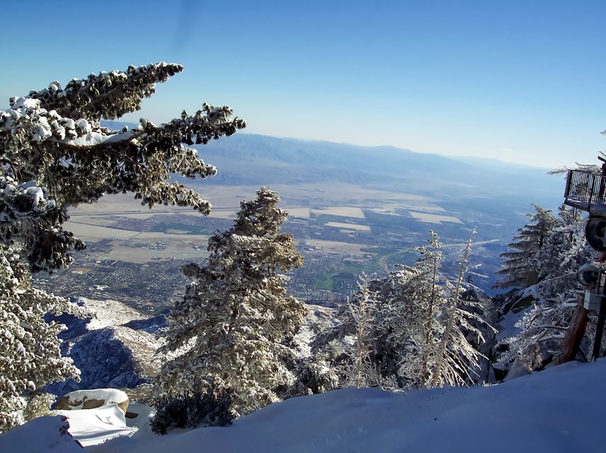 Palm Springs: Aerial Tramway Round-Trip Ticket - Key points to know before you go