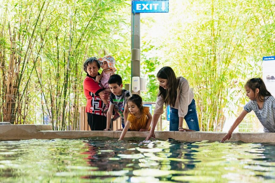 Phoenix Zoo One Day General Admission Ticket - Key points to know before you go