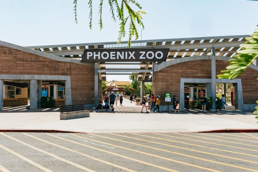 Phoenix Zoo One Day General Admission Ticket - Orangutans, tigers, dragons, and big cats