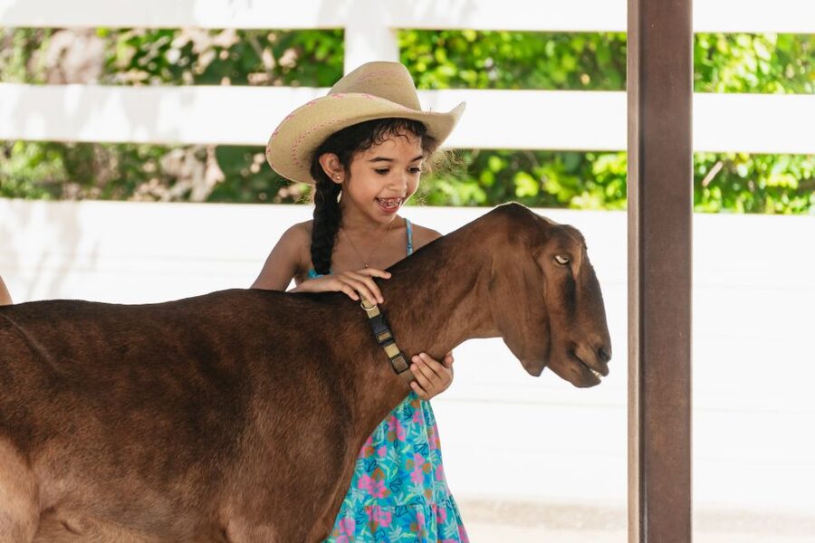 Phoenix Zoo One Day General Admission Ticket - How long should you stay?