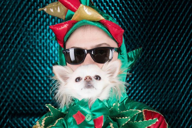 Piff the Magic Dragon at the Flamingo Las Vegas - Is $50.64 a good Las Vegas value?