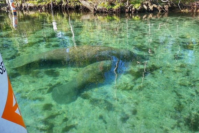Plantation's Kings Bay Scenic Cruise - Setting out from Plantation Adventure Center