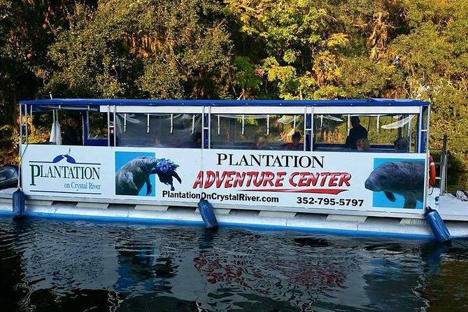 Plantation's Kings Bay Scenic Cruise - Other wildlife keeps the ride worthwhile