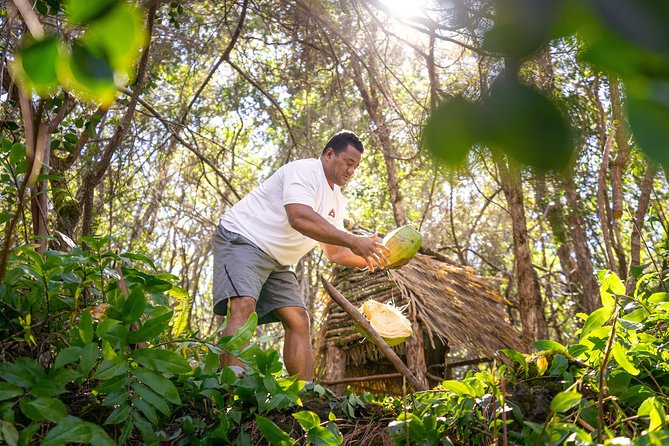 Polynesian Cultural ATV Tour in Kona - Starting with safety, training, and vehicle choice
