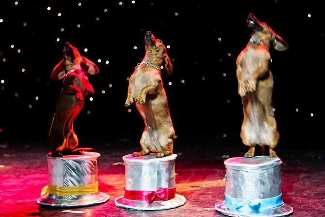 Popovich Comedy Pet Theater at Planet Hollywood Resort and Casino - Who will enjoy Popovich Comedy Pet Theater?