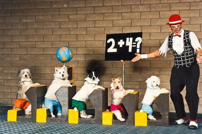 Popovich Comedy Pet Theater at Planet Hollywood Resort and Casino - Making the most of your Planet Hollywood afternoon