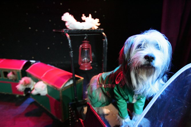 Popovich Comedy Pet Theater at Planet Hollywood Resort and Casino - Stop 1: Finding the V Theater inside Planet Hollywood