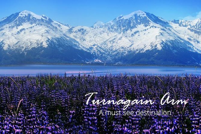 Portage Glacier Cruise and Wildlife Explorer Tour - The Seward Highway is part of the attraction