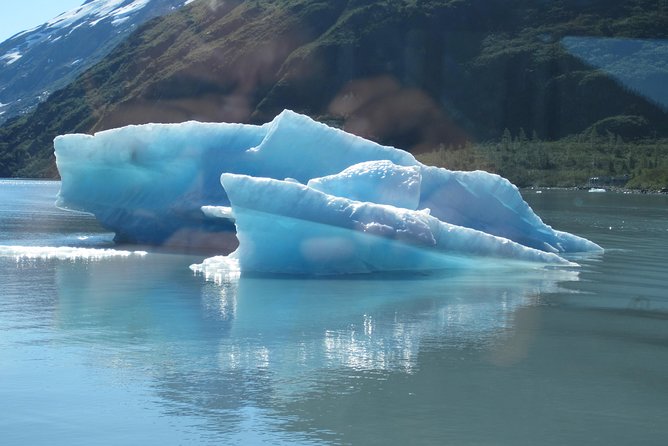 Portage Glacier Cruise and Wildlife Explorer Tour - The small-group advantage