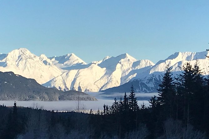 Portage Glacier Cruise and Wildlife Explorer Tour - Who should book this tour?
