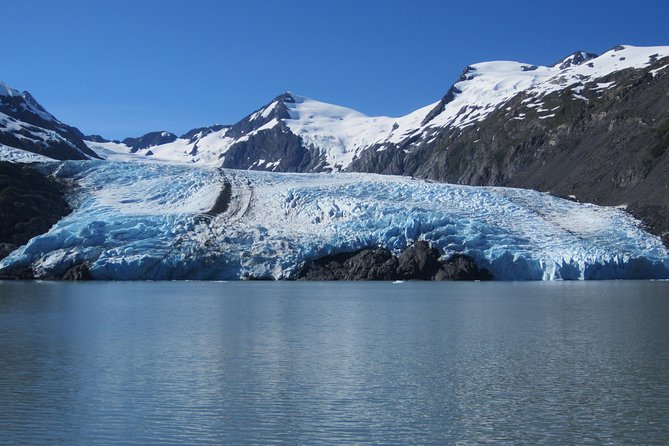 Portage Glacier Cruise and Wildlife Explorer Tour - What the wildlife center adds