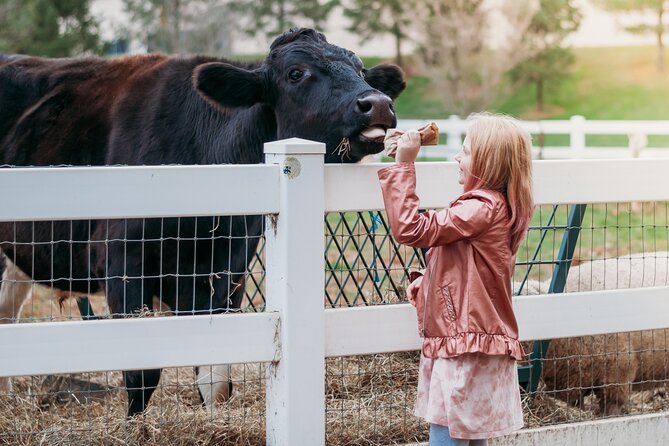 Premium Amish Country Tour including Amish Farm and House - Why this three-part tour works