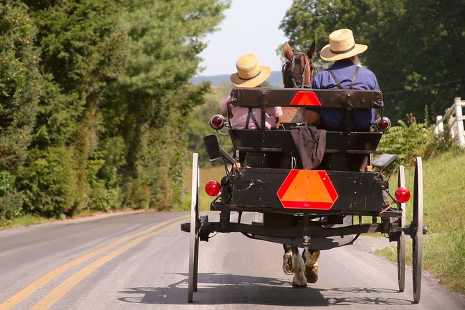 Premium Amish Country Tour including Amish Farm and House - The 15-acre farmstead, schoolhouse, and animals