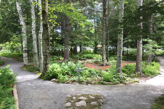 Premium Narrated Bus Tour of Bar Harbor and Acadia National Park (3.5 Hours) - Jordan Pond is the flexible stop