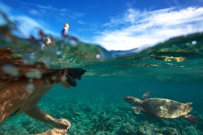 Premium Oahu Circle Island Tour – Small Group, No Crowds - North Shore lunch at Fumi’s shrimp truck