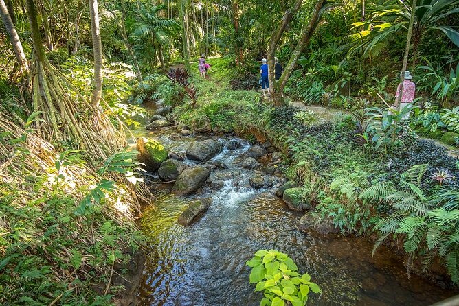 Princeville Botanical Gardens Tour and Chocolate Tasting Ticket - Starting at 9:30 at Princeville Botanical Gardens
