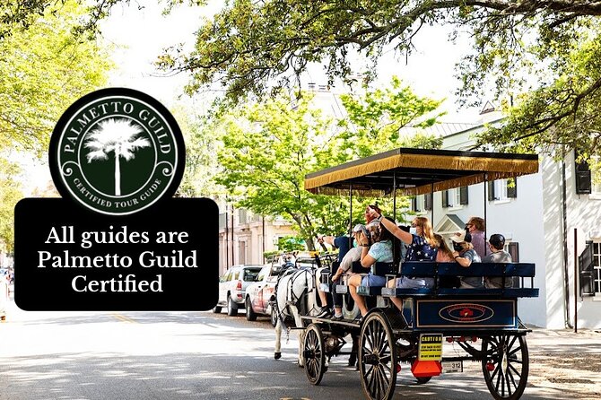 Private Daytime Horse-Drawn Carriage Tour of Charleston - A one-hour ride through Charleston’s historic center