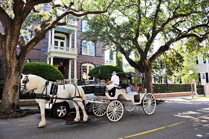 Private Daytime Horse-Drawn Carriage Tour of Charleston - Why private space changes the experience