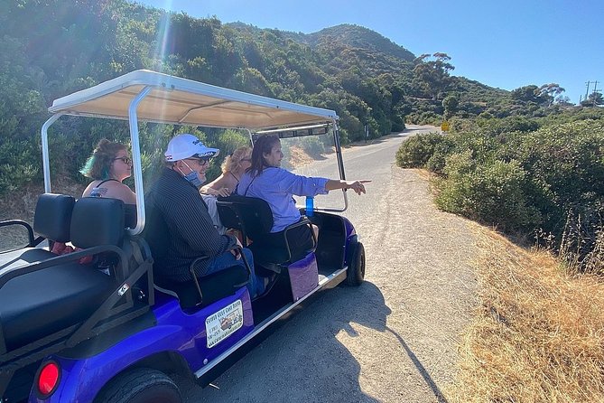 Private Guided Golf Cart Tour of Avalon - Bell Tower Road viewpoints and the value of local knowledge