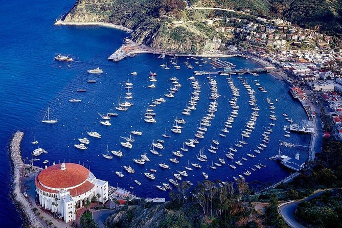 Private Guided Golf Cart Tour of Avalon - Pebbly Beach and the first look beyond town