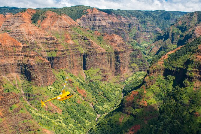Private Kauaʻi Experience: Doors-Off ALL WINDOW SEATS - Waimea Canyon from the air
