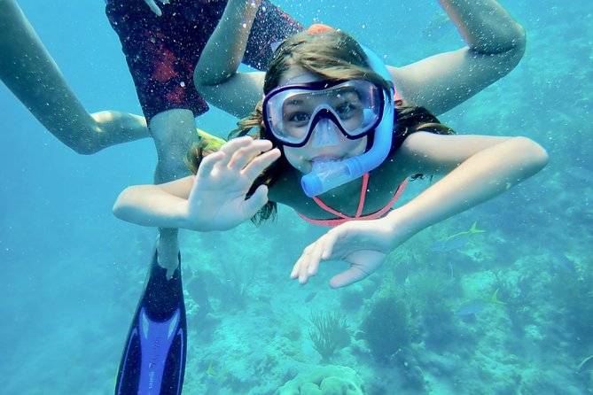 Private Looe Key Snorkel from Big Pine Key - Leaving Big Pine Key at 10:00 a.m.
