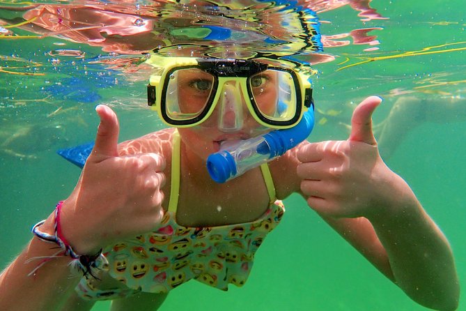 Private Looe Key Snorkel from Big Pine Key - How the $575 price makes sense