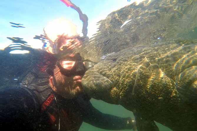 Private Manatee Swim for up to 6 with In-Water Divemaster/Photographer - The pre-tour lesson in passive observation