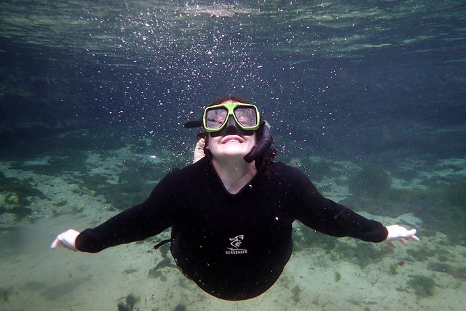 Private 'OG' Manatee Snorkel Tour with Guide for up to 10 people - Guides who make the difference