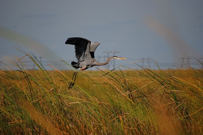 Private Tour: Florida Everglades Airboat Ride and Wildlife Adventure - Who will enjoy this tour most?