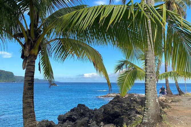 Rainforest Tour to Hana and Beyond - Halfway to Hana and the roadside food culture