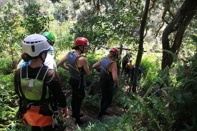Rappel Maui Waterfalls and Rainforest Cliffs - How hard is this for a first-timer?