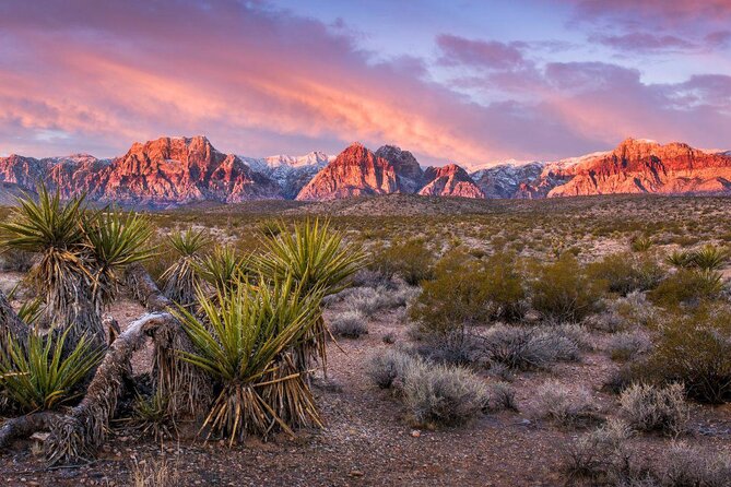 Red Rock Canyon eBike Half-Day Tour - Quick take: what makes this ride special