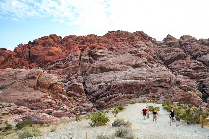 Red Rock Canyon Hike with Transport from Las Vegas - Morning or afternoon: choosing your departure