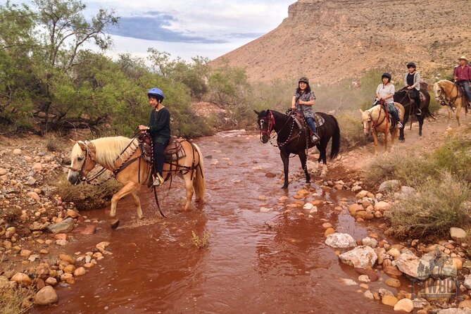 Red Rock Canyon Sunset Horseback Ride and Barbeque Dinner - Who will enjoy this evening most