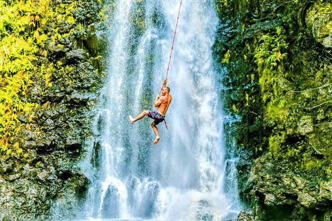 Road To Hana Black Sand Beach Waterfalls & Turtles Tour - Wailua Valley offers a quick viewpoint