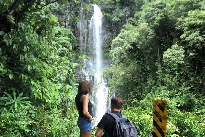 Road to Hana: Full-Day Scenic Drive with Blacksand & Waterfalls - Ke‘anae Point and the old farming coast