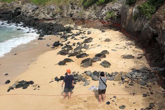 Road to Hana: Full-Day Scenic Drive with Blacksand & Waterfalls - Waterfalls along a road built for surprises