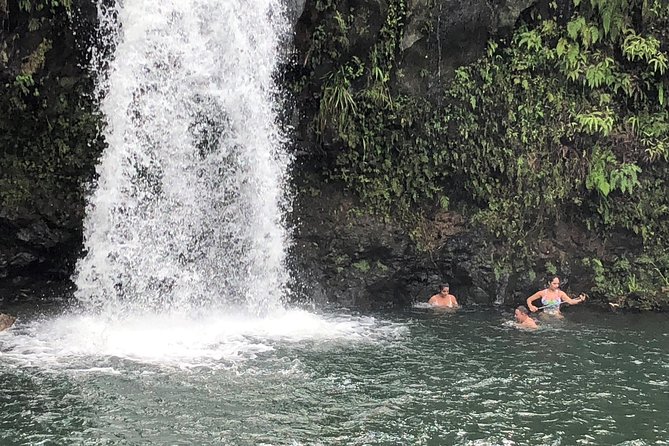 Road to Hana: Full-Day Scenic Drive with Blacksand & Waterfalls - Hana Farms, banana bread, and local buying